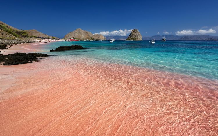 medium_Pink beach.jpg